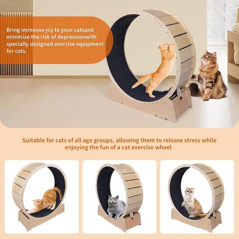 Large Cat Exercise Wheel 40 Inch Treadmill Exerciser for Indoor Cats Love Kitty Running Toy Walking Training for Fitness Weight Loss Device Suitable for Most Cats Physical Exercise Activity in Saudi Arabia