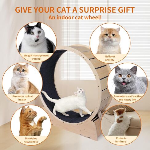 Large Cat Exercise Wheel 40 Inch Treadmill Exerciser for Indoor Cats Love Kitty Running Toy Walking Training for Fitness Weight Loss Device Suitable for Most Cats Physical Exercise Activity in Saudi Arabia