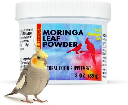 Morning Bird Moringa Leaf Powder for Birds, 6 oz in Saudi Arabia