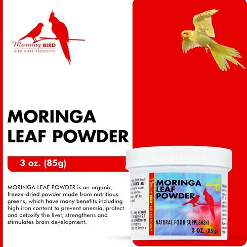 Morning Bird Moringa Leaf Powder for Birds, 6 oz in Saudi Arabia