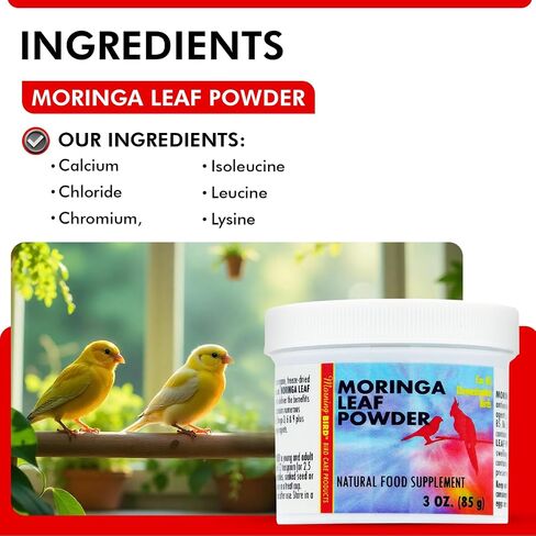 Morning Bird Moringa Leaf Powder for Birds, 6 oz in Saudi Arabia
