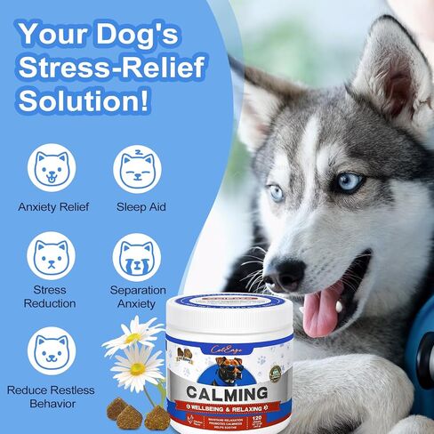Calming Chews for Dogs - Dog Calming Chews - Anxiety Relief Treats - Calming Supplements for Dogs - Calming Bites Help Reduce Stress and Promote Relaxation, 120 Count Chicken Flavor in Saudi Arabia