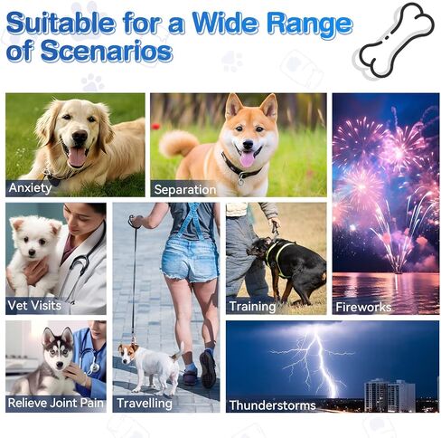 Calming Chews for Dogs - Dog Calming Chews - Anxiety Relief Treats - Calming Supplements for Dogs - Calming Bites Help Reduce Stress and Promote Relaxation, 120 Count Chicken Flavor in Saudi Arabia
