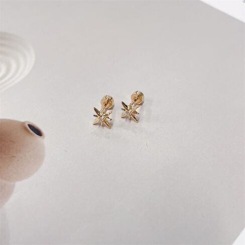 20G Star CZ SCRELT FLAT BACK أقراط مسمار صغيرة للنساء للنساء in Saudi Arabia