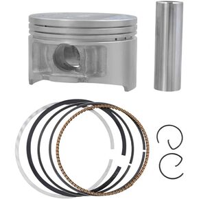 Motorcycle Parts Size 73mm 73.25mm 73.5mm 73.75mm 74mm Piston Ring Fit For TTR250 4GY 1999-2006(Oversize25(73.25mm)) in Saudi Arabia