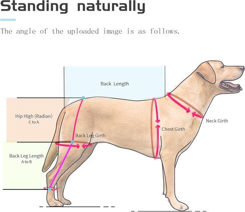 Dog Knee Brace for Torn Acl Hind Legs - Provides Joint Protection and Warmth, Upgraded Adjustable Leg and Hip, Dogs Rear Leg Wrap Harness Set for Leg Wound Care and Lick Prevention, L in Kuwait
