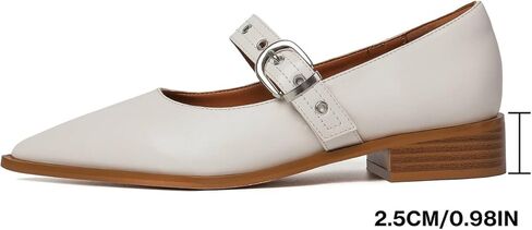 Mary Jane Shoes Women Chunky Low Heels Buckle Strap Pumps Womens Closed Pointed Toe Ballet Flats Causal Daily Dress Shoes in Kuwait