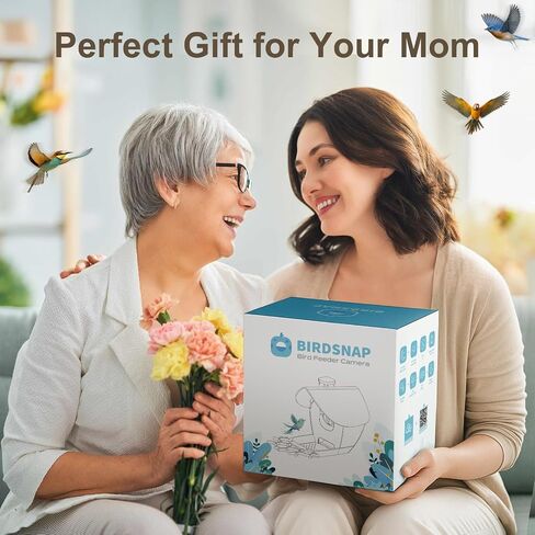 Birdsnap® P33 - وحدة تغذية الطيور مع كاميرا تعمل بالطاقة الشمسية ، 2K قابلة للفصل كاميرا الطيور مع بطاقة 32 جيجابايت ، منظمة العفو الدولية التعريف الأنواع الريش ، سجل السيارات في الفناء الخلفي ، هدية مثالية لمحبي الطيور in Kuwait