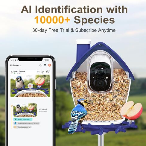 Birdsnap® P33 - وحدة تغذية الطيور مع كاميرا تعمل بالطاقة الشمسية ، 2K قابلة للفصل كاميرا الطيور مع بطاقة 32 جيجابايت ، منظمة العفو الدولية التعريف الأنواع الريش ، سجل السيارات في الفناء الخلفي ، هدية مثالية لمحبي الطيور in Kuwait