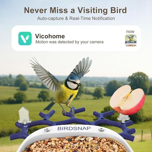 Birdsnap® P33 - وحدة تغذية الطيور مع كاميرا تعمل بالطاقة الشمسية ، 2K قابلة للفصل كاميرا الطيور مع بطاقة 32 جيجابايت ، منظمة العفو الدولية التعريف الأنواع الريش ، سجل السيارات في الفناء الخلفي ، هدية مثالية لمحبي الطيور in Kuwait