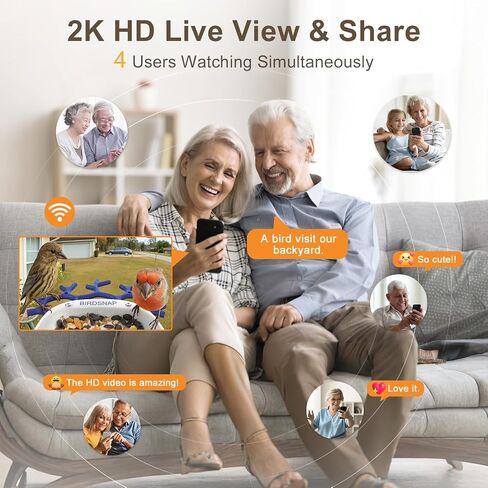 Birdsnap® P33 - وحدة تغذية الطيور مع كاميرا تعمل بالطاقة الشمسية ، 2K قابلة للفصل كاميرا الطيور مع بطاقة 32 جيجابايت ، منظمة العفو الدولية التعريف الأنواع الريش ، سجل السيارات في الفناء الخلفي ، هدية مثالية لمحبي الطيور in Kuwait
