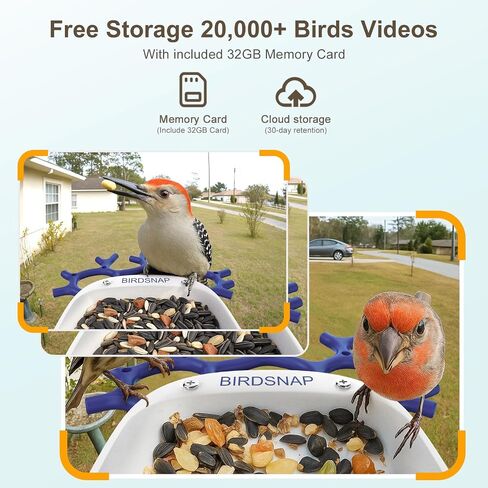 Birdsnap® P33 - وحدة تغذية الطيور مع كاميرا تعمل بالطاقة الشمسية ، 2K قابلة للفصل كاميرا الطيور مع بطاقة 32 جيجابايت ، منظمة العفو الدولية التعريف الأنواع الريش ، سجل السيارات في الفناء الخلفي ، هدية مثالية لمحبي الطيور in Kuwait