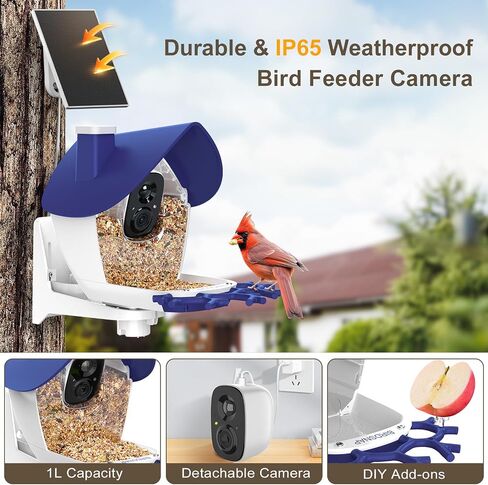 Birdsnap® P33 - وحدة تغذية الطيور مع كاميرا تعمل بالطاقة الشمسية ، 2K قابلة للفصل كاميرا الطيور مع بطاقة 32 جيجابايت ، منظمة العفو الدولية التعريف الأنواع الريش ، سجل السيارات في الفناء الخلفي ، هدية مثالية لمحبي الطيور in Kuwait