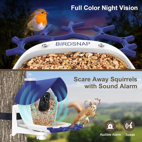 Birdsnap® P33 - وحدة تغذية الطيور مع كاميرا تعمل بالطاقة الشمسية ، 2K قابلة للفصل كاميرا الطيور مع بطاقة 32 جيجابايت ، منظمة العفو الدولية التعريف الأنواع الريش ، سجل السيارات في الفناء الخلفي ، هدية مثالية لمحبي الطيور in Kuwait