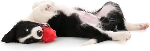 playology puppy ball ball | لعبة الكلب للكلاب الصغيرة والنشطة | إشراك لعبة زبدة الفول السوداني الطبيعية المعطرة على الجراء in Kuwait