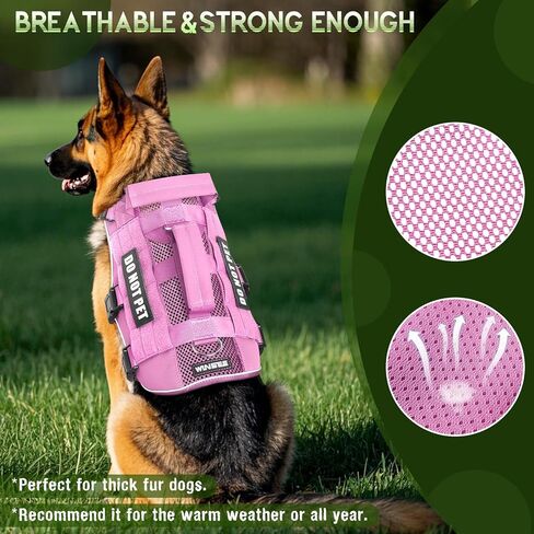 Winsee شبكة الكلب تسخير مع 10 بقع الحيوانات الأليفة للكلاب خدمة متوسطة في التدريب ، سترة مولي التكتيكية المتنفس مع مقبض مزدوج ، سترة الحيوانات الأليفة العسكرية العاكسة للمشي المشي لمسافات طويلة in Kuwait
