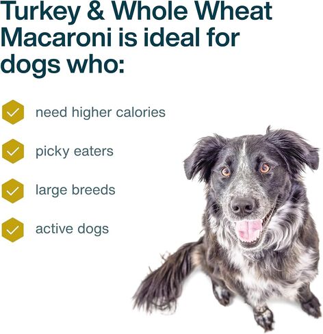 طعام الكلاب الطازج المجمد من JustFoodForDogs، وجبة كاملة أو طعام للكلاب، معكرونة من الديك الرومي والقمح الكامل، وصفة طعام للكلاب من الدرجة البشرية، 18 أونصة (عبوة من 14 قطعة) in Saudi Arabia