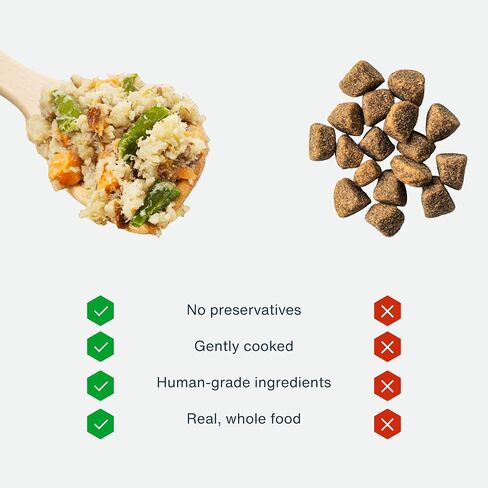 طعام الكلاب الطازج المجمد من JustFoodForDogs، وجبة كاملة أو طعام للكلاب، معكرونة من الديك الرومي والقمح الكامل، وصفة طعام للكلاب من الدرجة البشرية، 18 أونصة (عبوة من 14 قطعة) in Saudi Arabia