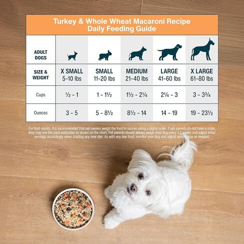 طعام الكلاب الطازج المجمد من JustFoodForDogs، وجبة كاملة أو طعام للكلاب، معكرونة من الديك الرومي والقمح الكامل، وصفة طعام للكلاب من الدرجة البشرية، 18 أونصة (عبوة من 14 قطعة) in Saudi Arabia