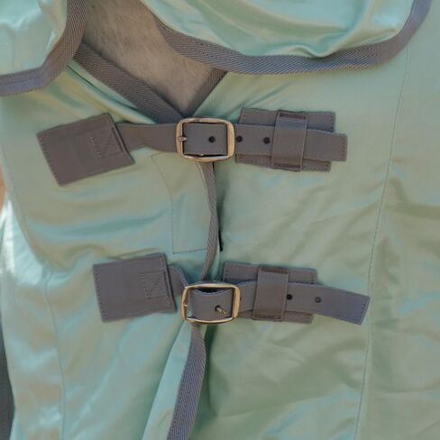 ملاءة ذبابة الحصان مع غطاء رقبة قابل للفصل وغطاء للبطن، ملاءة ذبابة قابلة للتعديل للأحصنة، شبكة تدفق هواء الخيول، ملاءة صيفية بيضاء 81 in Kuwait