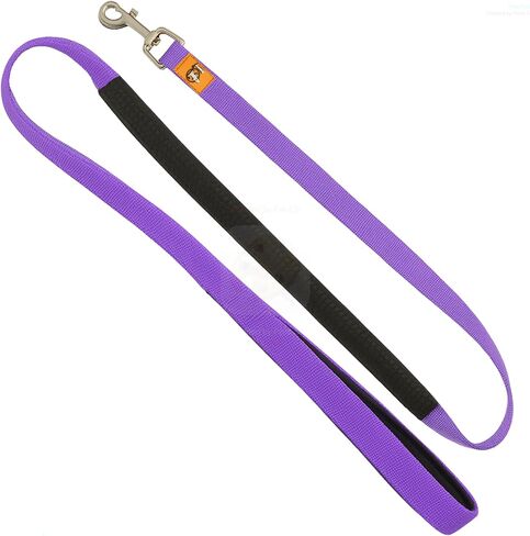 Canny Leash | Heavy Duty Dog Leash | Perfect for Small, Medium, & Large Dogs | Leash with Handle, Padded Grip & Secure Clip | Length 4ft, Width 5/8in, Blue in Saudi Arabia