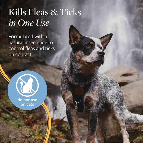 Veterinary Formula Flea and Tick Spray for Dogs, 8 oz – Easy-to-Use Dog Flea Shampoo and Spray Bundle in Kuwait