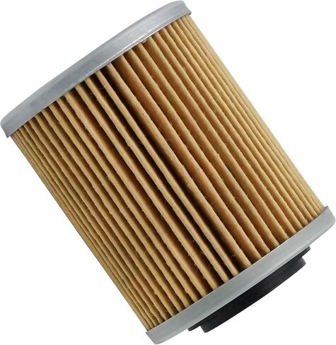 Caltric Oil Filter Compatible with Can Am Ryker 600 ACE / 900 ACE 2019-2024 / Sport 900 ACE 2023-2024/420956123 in Saudi Arabia