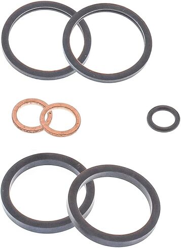 Rear Brake Caliper Rebuild Kit for Honda TRX250R Fourtrax 2x4 1986 1987 1988 1989 in Saudi Arabia