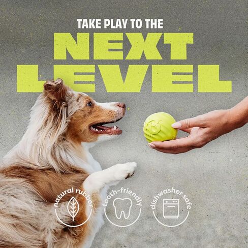 Benebone Pawbler - Natural Rubber Interactive Enrichment Treat and Kibble Dispensing Dog Toy – Great for Boredom - Medium/Large in Saudi Arabia