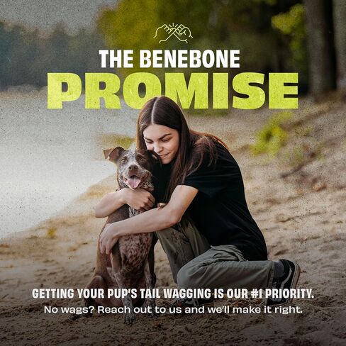 Benebone Pawbler - Natural Rubber Interactive Enrichment Treat and Kibble Dispensing Dog Toy – Great for Boredom - Medium/Large in Saudi Arabia