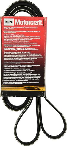 Motorcraft Drive Belt in Saudi Arabia