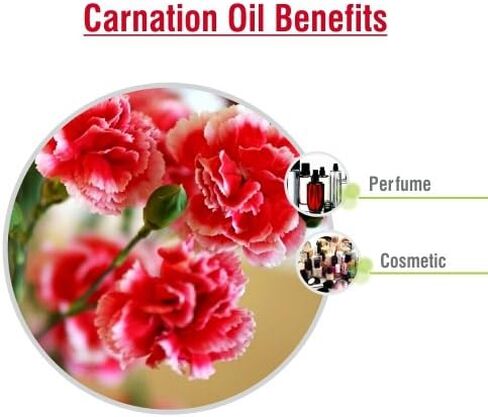 Ridge Gourd (Lufa Acutangula) Carrier Oil 100% Pure & Natural - Undiluted Uncut Cold Pressed Oil - Therapeutic Grade (0.050 floz with dr) in Kuwait