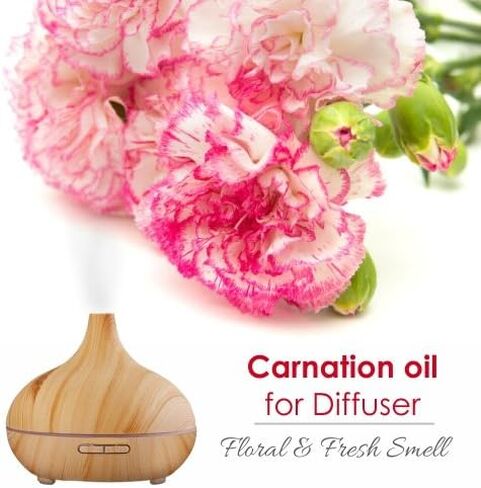 Ridge Gourd (Lufa Acutangula) Carrier Oil 100% Pure & Natural - Undiluted Uncut Cold Pressed Oil - Therapeutic Grade (0.050 floz with dr) in Kuwait