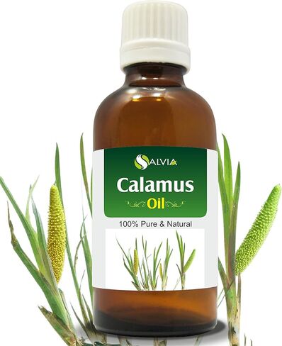 Ridge Gourd (Lufa Acutangula) Carrier Oil 100% Pure & Natural - Undiluted Uncut Cold Pressed Oil - Therapeutic Grade (0.050 floz with dr) in Saudi Arabia