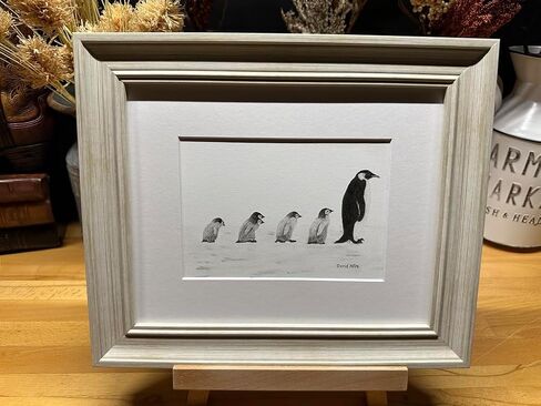 Penguins Nature Wildlife Graphite Pencil Art Sketch Drawing Print Picture Limited Edition ~ Titled 'Are We There Yet?' by David Allen (8x10 Black Frame & Print) in Saudi Arabia