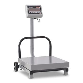 TORREY FS250/500 Digital Receiving Scale, Rechargeable Battery, Robust Steel Construction, Toggles between kg and pounds, 250 kg/500 lb, Gray