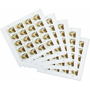 100 Wedding Roses Love Commemorative Forever Postage Book of 20 Self-Stick Stamps for USPS First Class Envelopes (5 Sheets of 20)
