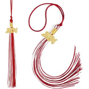 2025 Grad Tassel 2025 Graduation Tassel 2025,Graduation Gifts, Graduation Cap Decorations,2 pcs Blue and White Tassel for Graduation Cap 2025 Tassel Charm, Graduation Memorial Tassel Charm