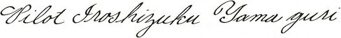 PILOT Iroshizuku Bottled Fountain Pen Ink, Yama-Guri, Wild Chestnut (Dark Brown) 50ml Bottle (69219) in Saudi Arabia