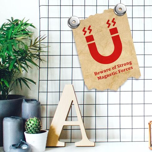 12Pcs Super Strong Neodymium Magnets with Holes, Ring Rare Earth Magnets Heavy Duty,Small Round Base Cup Countersunk Magnets Strong for Kitchen Craft Wood DIY Holding Tools Hanging (16x5 Hole 3.5mm) in Kuwait