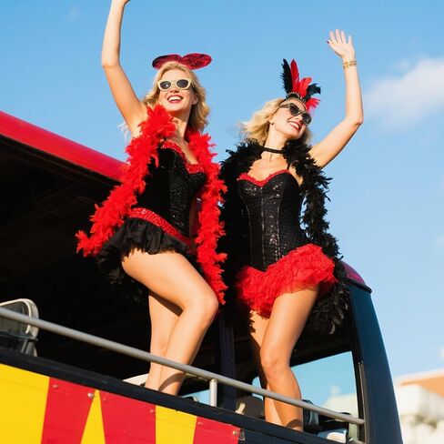 Feathers Boas Turkey Feathers 2pcs 45g for DIY Crafts Wedding Party Halloween Costume,Christmas,Concert Feathers boa in Kuwait