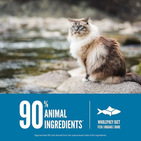 أوريجين الأصلي القط 7LB in Kuwait