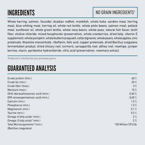 أوريجين الأصلي القط 7LB in Kuwait