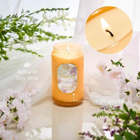 M&SENSE Aromatherapy Soy Scented Candle - Tropical Fruit Party Scent, 10.6 oz, 60-Hour Burn, Exotic Home Decor Gift for Women in Kuwait