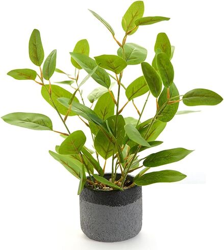 نباتات ficus مزيفة 14.5 بوصة طول النباتات الداخلية الاصطناعية مع أوراق الحياة الخضراء في وعاء رمادي أسود للمنزل المنزلي في الهواء الطلق أواني الشرفة زخارف زخرفة in Kuwait