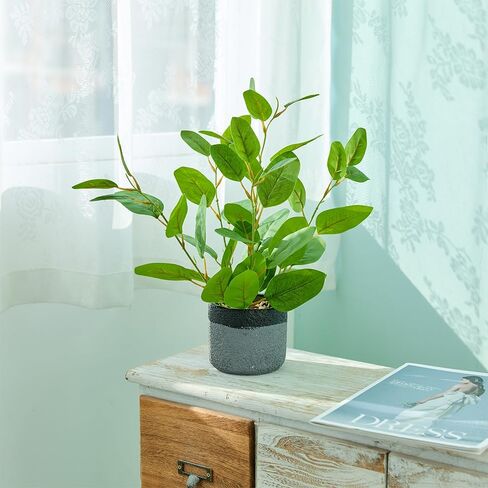نباتات ficus مزيفة 14.5 بوصة طول النباتات الداخلية الاصطناعية مع أوراق الحياة الخضراء في وعاء رمادي أسود للمنزل المنزلي في الهواء الطلق أواني الشرفة زخارف زخرفة in Kuwait