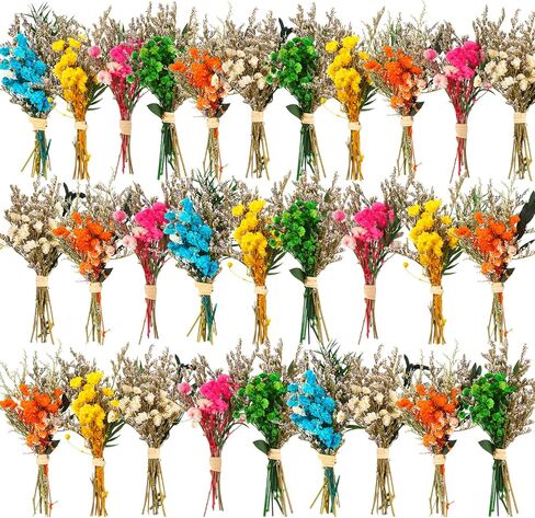 Nuanchu 30 PCS Mini المجفف زهرة الزهور تنسى لي ليس باقات مجففة الزهور المنقوش مع الجذعية لله الخاصصة ، زفاف ، ديكور حفلات سجل القصاصات DIY (كلاسيكي) in Kuwait