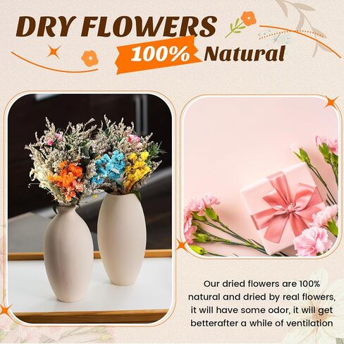 Nuanchu 30 PCS Mini المجفف زهرة الزهور تنسى لي ليس باقات مجففة الزهور المنقوش مع الجذعية لله الخاصصة ، زفاف ، ديكور حفلات سجل القصاصات DIY (كلاسيكي) in Kuwait