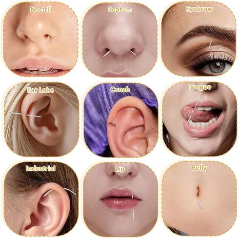 5pcs تفتق الفولاذ المقاوم للصدأ ، 14g 16g 18g 20g دبوس إدخال بلا خيط ، ودفع في أدوات مساعد مجموعة ثقب الجسم ، وأداة قضيب في القرط المسطح للنساء الأذن ، والأنف ، والسرة in Saudi Arabia