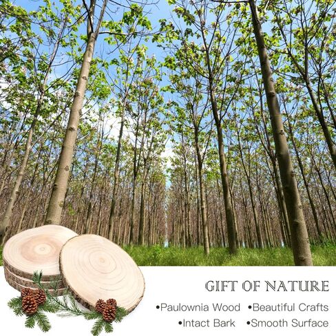 ZOCONE 4 Pcs Large Wood Slices 11-13 Inches Unfinished Rounds, Natural Paulownia Wooden Slices for Centerpieces, Round Wooden Discs Decoration with Bark, Wood Circles for Centerpieces for Painting in Saudi Arabia